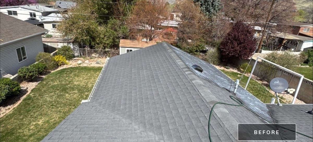 Faded grey asphalt shingle roof before restoration treatment on a Utah home