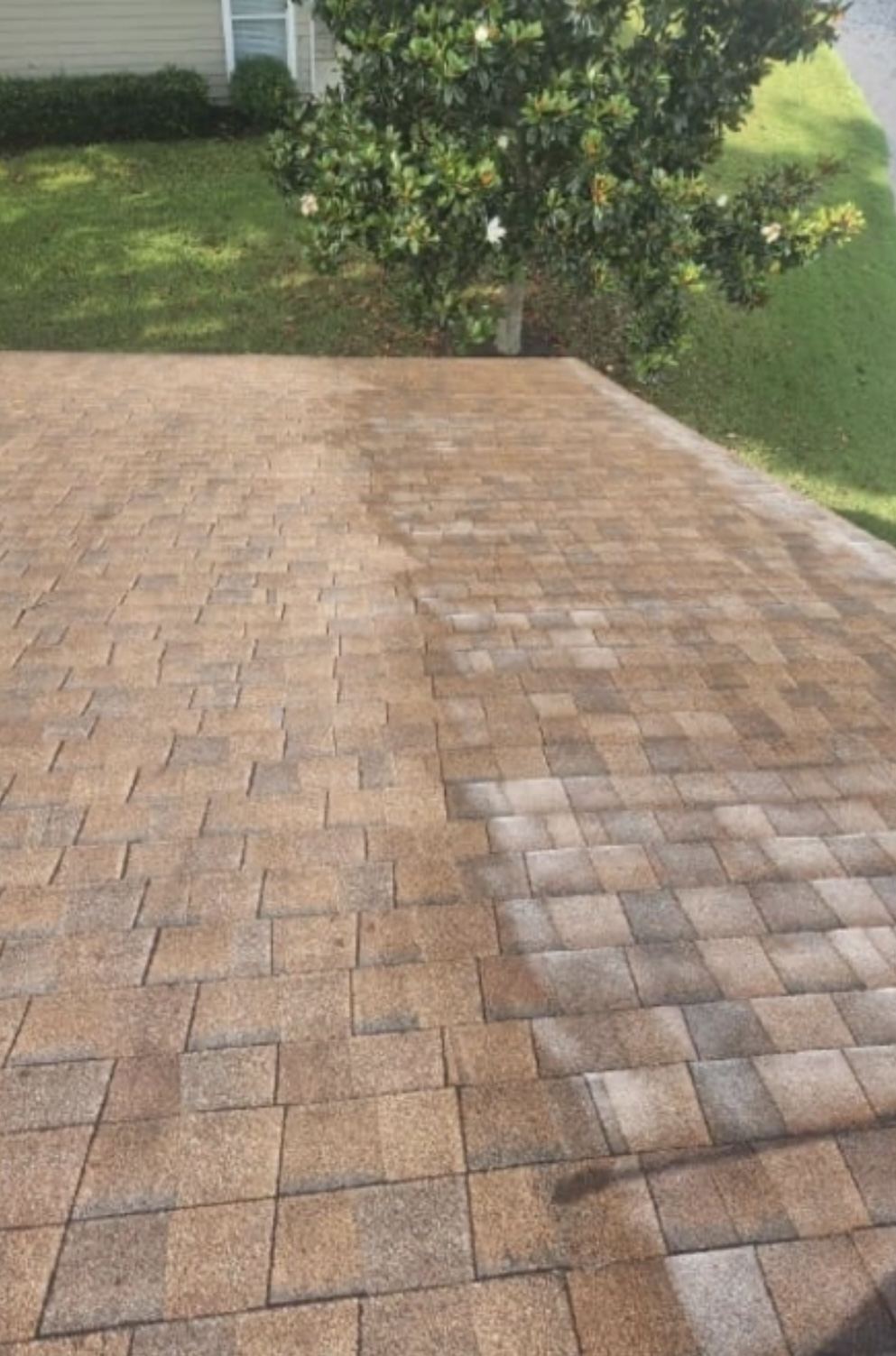 Close-up of weathered tan asphalt shingles on a Utah roof