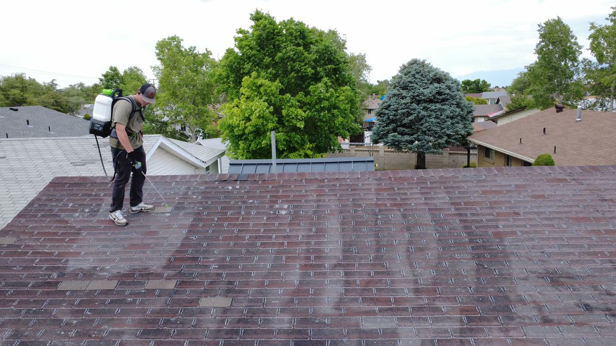 Revive Your Roof technician treating a grey asphalt shingle roof, on a Wasatch Front home in Utah
