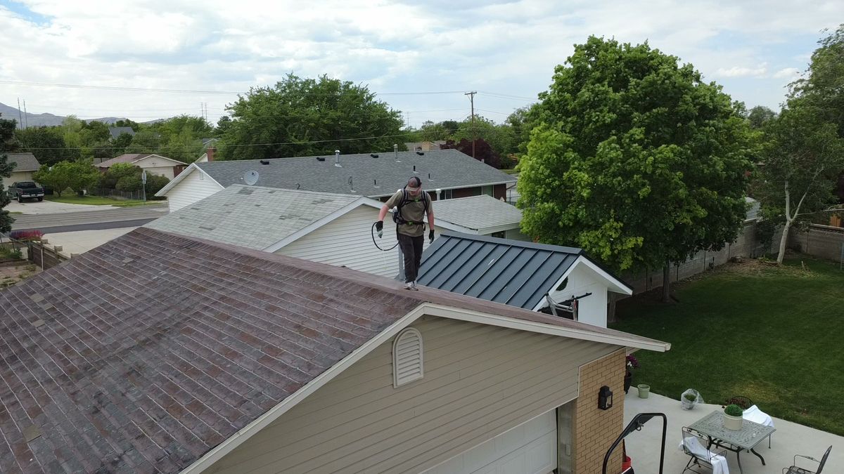 Revive Your Roof technician working across a grey shingle roof in Utah
