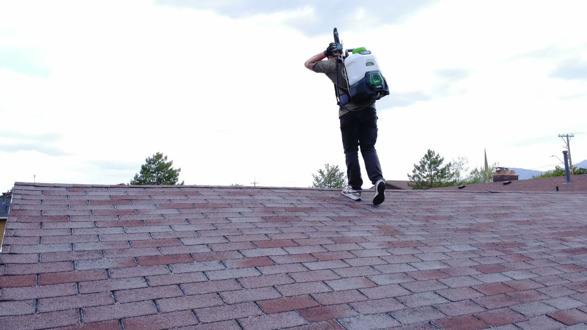 Technician walking the ridge of a red shingle roof with a backpack sprayer