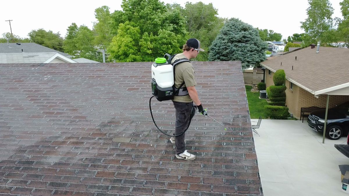 Revive Your Roof technician walking a Utah roof during a restoration treatment, on a Wasatch Front home in Utah